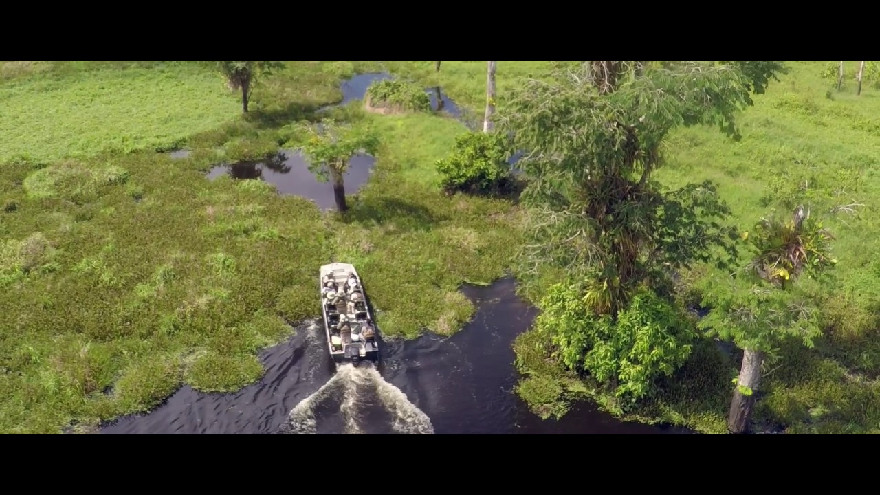 Amazon River Cruise: the Journey of a Lifetime