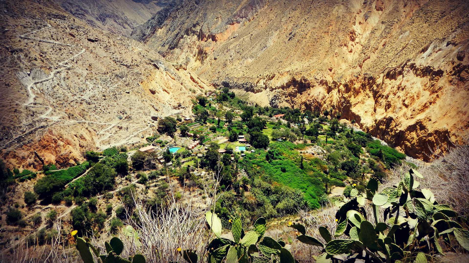 Views from Colca Canyon Trek in Arequipa