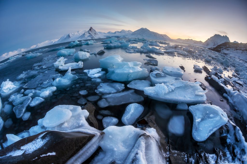 Trips to Antarctic from Argentina