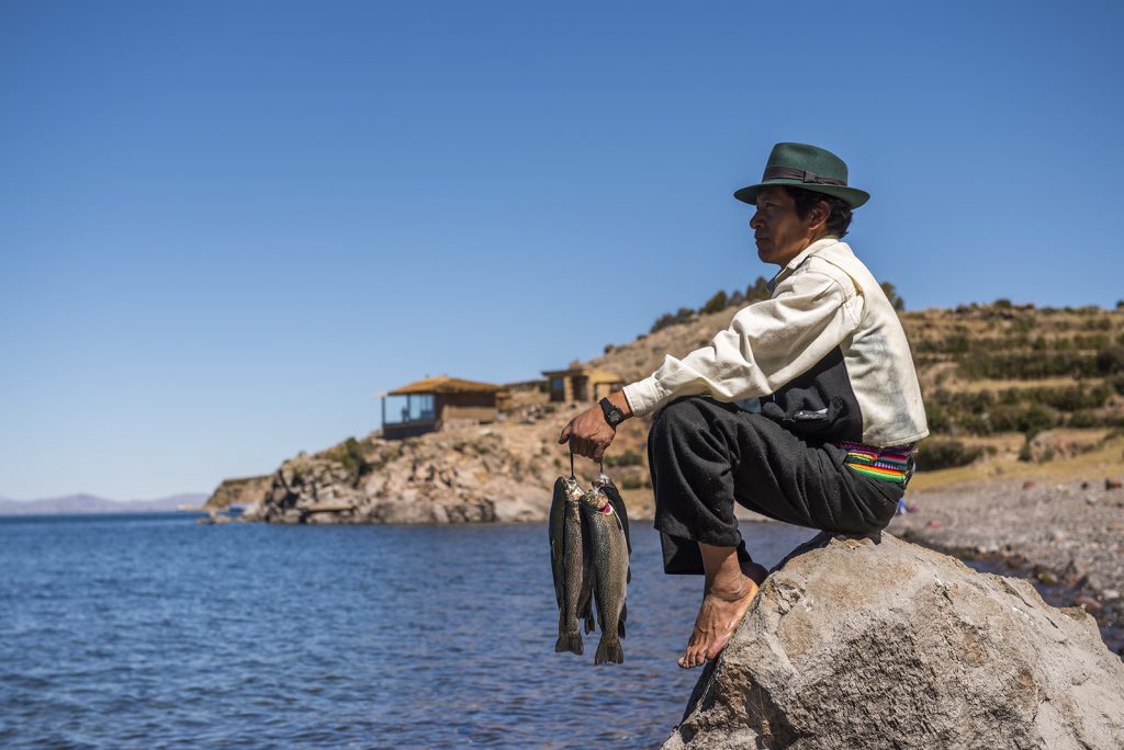 Puno travel guide - Amanita Lodge