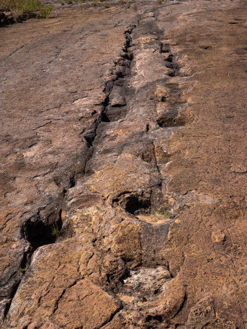 Dinosaur footprints in Torotoro National Park, Bolivia