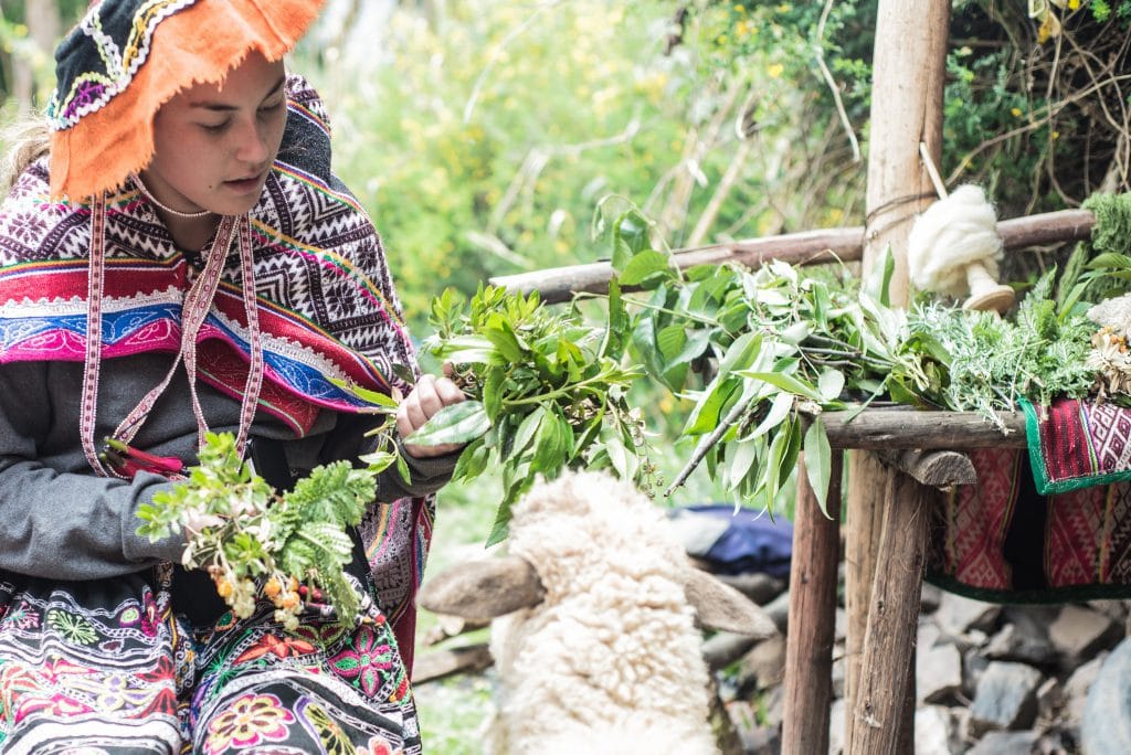 Peruvian Weaving - Observing local plants on Sacred Valley Tour