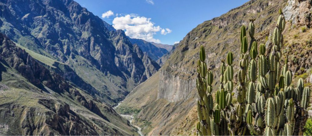 Peru Tours -Colca Canyon view