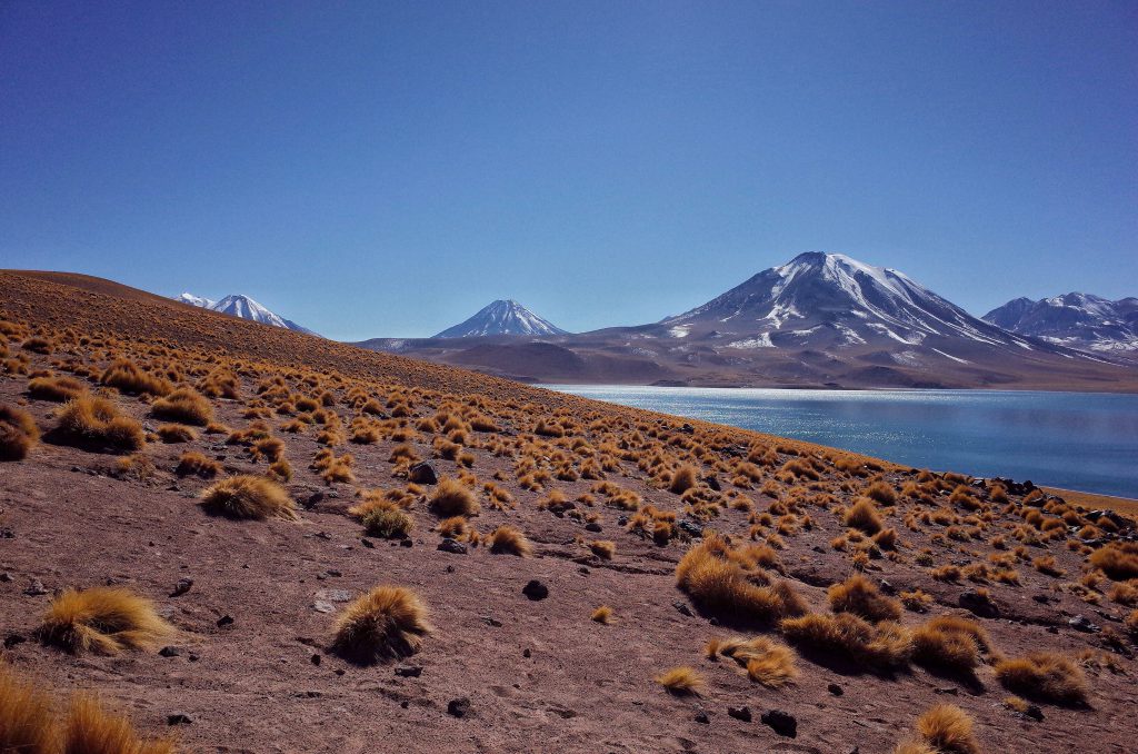 laguna miscanti san pedro de atacama travel guide