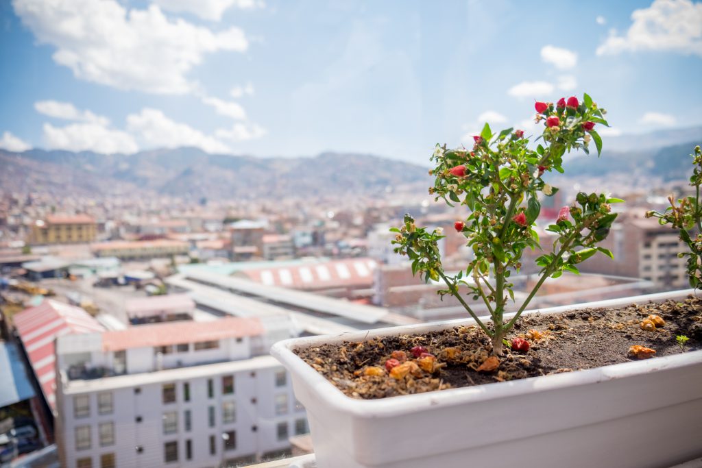 Cooking class in Cusco - View from Rooftop Kitchen.