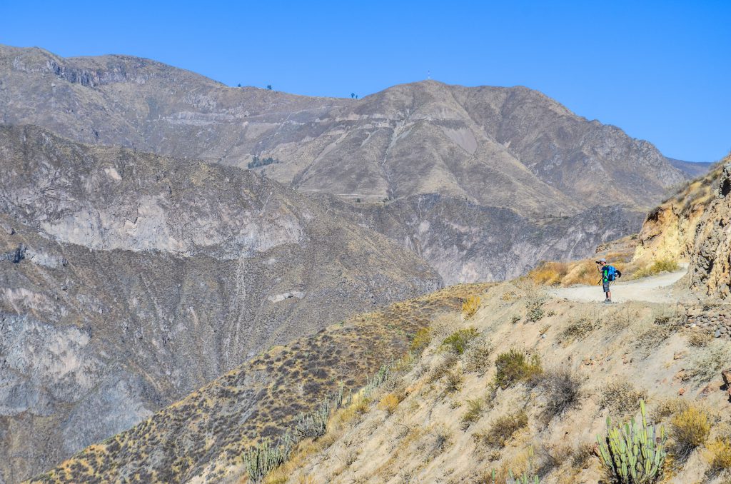 Colca Canyon trek - Photographing the canyon on the ridge line.