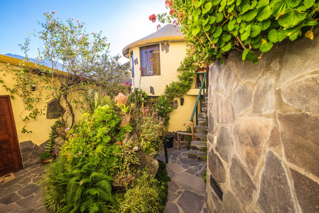 Colca Canyon trek - Kuntur Wassi garden.