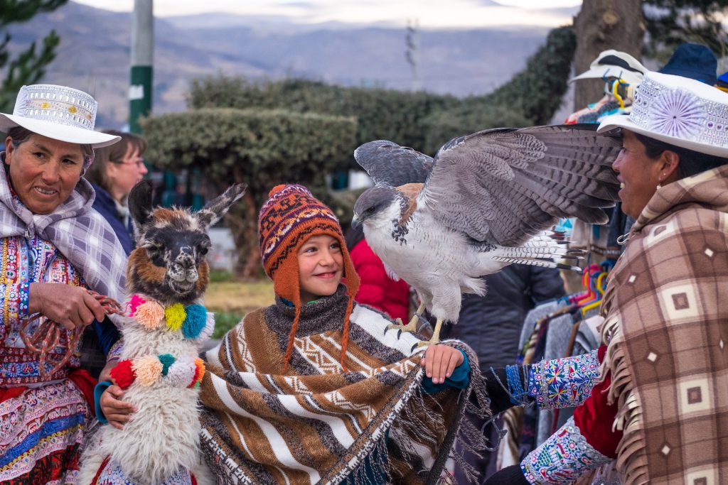 Homestay tours in Colca Canyon - Boy with llama and falcon. 