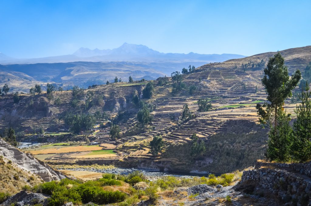 Homestay tours in Colca Canyon - Agricultural terraces.