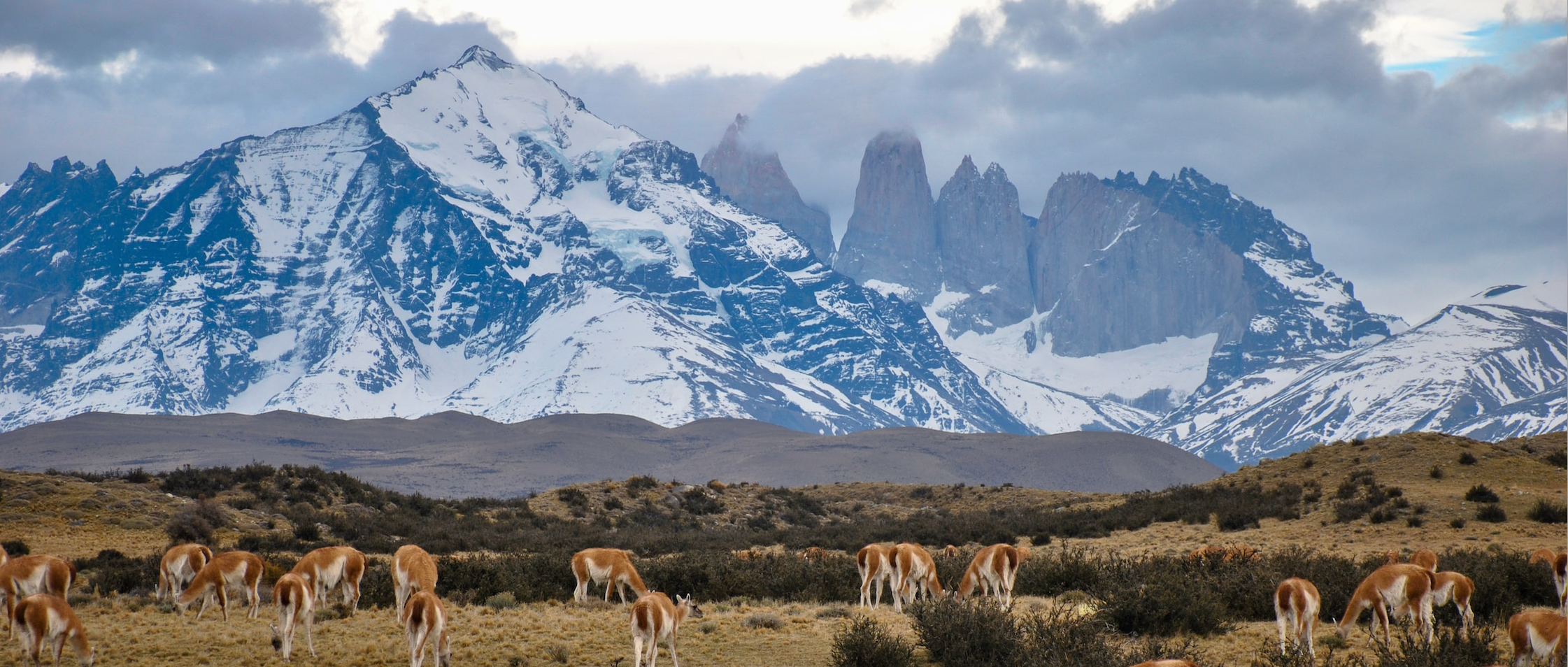 Torres de Paine in Chile on your trips to Chile