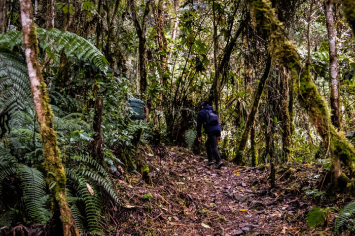 The Best Inca Trail: Hidden Inca Trail to Machu Picchu