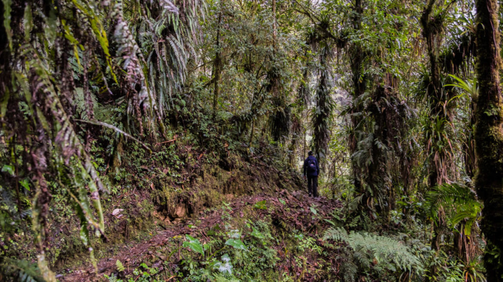 TOURPLAN new inca trail 29