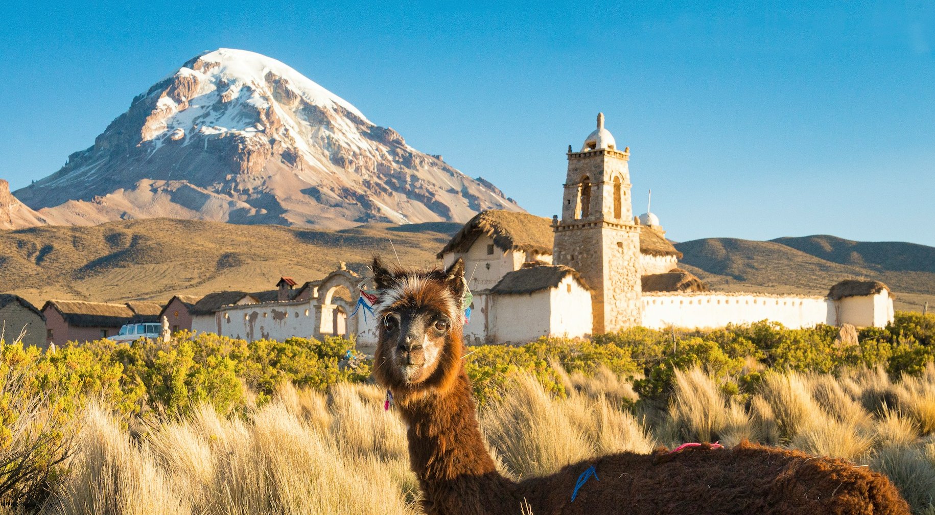 Sajama National Park -Trips to Bolivia