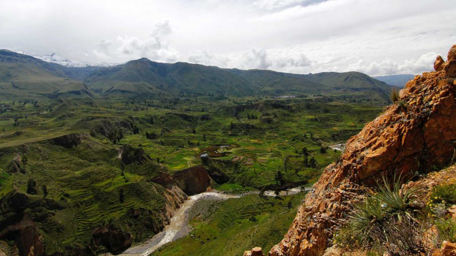 Why You Should Trek Peru’s Colca Canyon