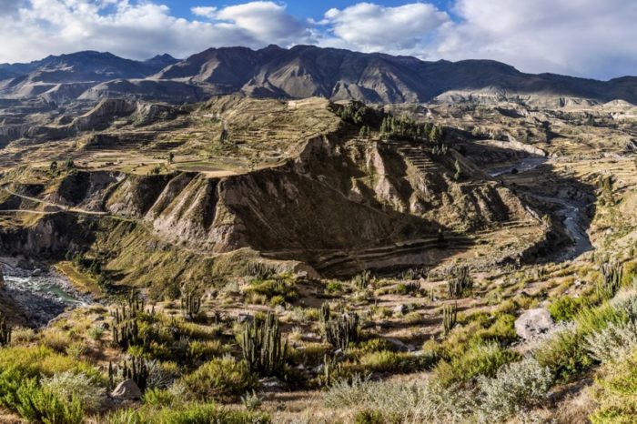 Captivating Colca Canyon 2 Day Tour from Arequipa