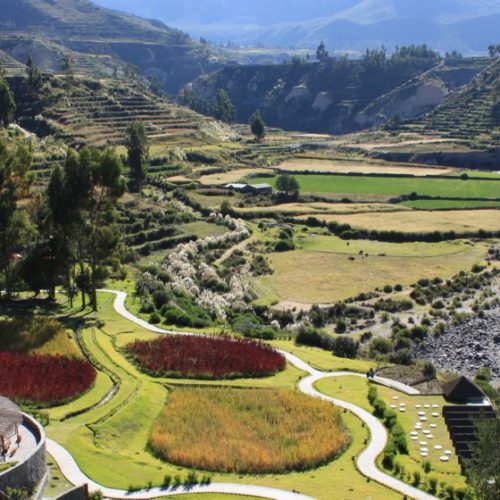 Colca Canyon tour