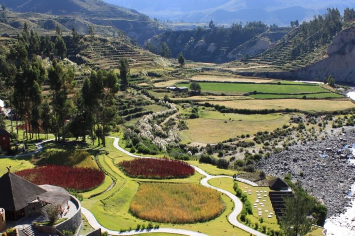 Discover the Extraordinary: Classic Colca Canyon Tour with the Luxurious Colca Lodge