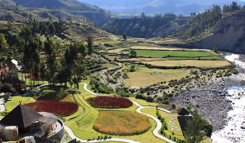 How to Choose the Best Colca Canyon Tour | The Honest Guide by Pie Experiences