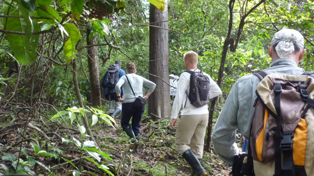 Amazon Trips from Peru