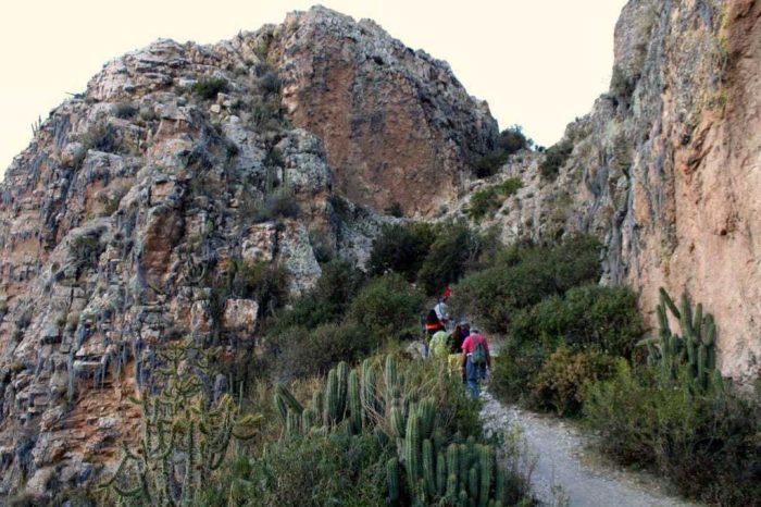 2 Day Colca Canyon Trekking Tour : A Journey into the Depths of Peru