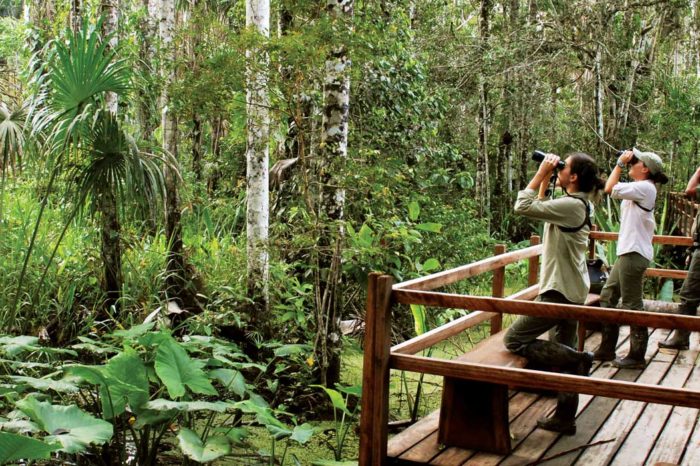 Inkaterra Reserve Amazonica | 4 day adventure