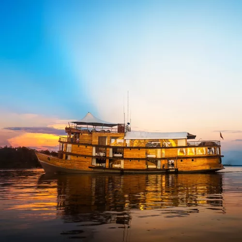 Amazon Cruise in Iquitos