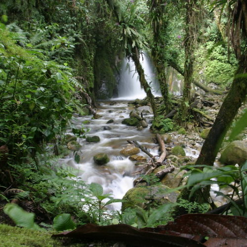 Mandor waterfall in Machu Picchu