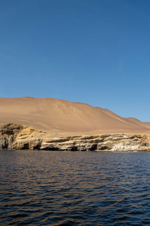 diego allen Sv4gBLRr9zo unsplash diego allen Sv4gBLRr9zo unsplash