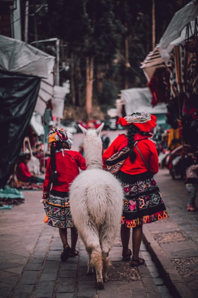 hibeth rodriguez WV Yy5rmDmg unsplash