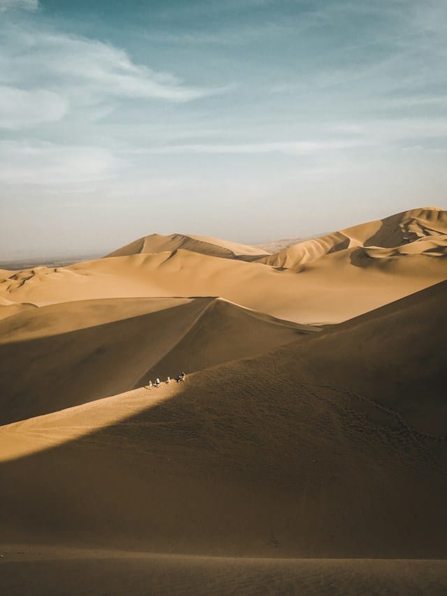 kimberly genest tsjPIyZBfdg unsplash