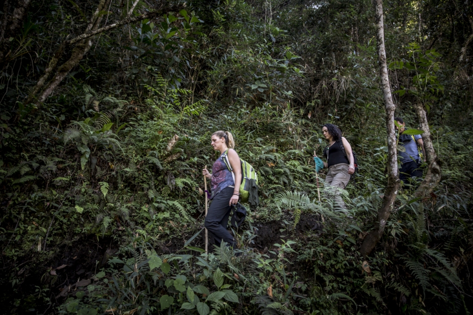 Inca trail Tours
