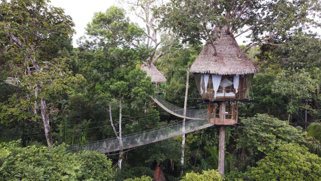 Treehouse 2021 13