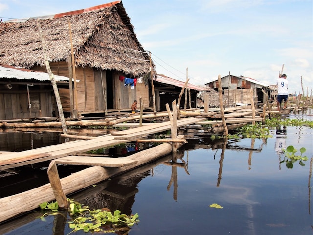 Iquitos Jungle Tours: Revel in the Beauty of the Amazon