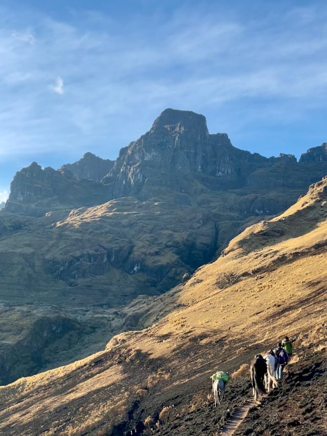 gpbl YIuN1t5ipeo unsplash