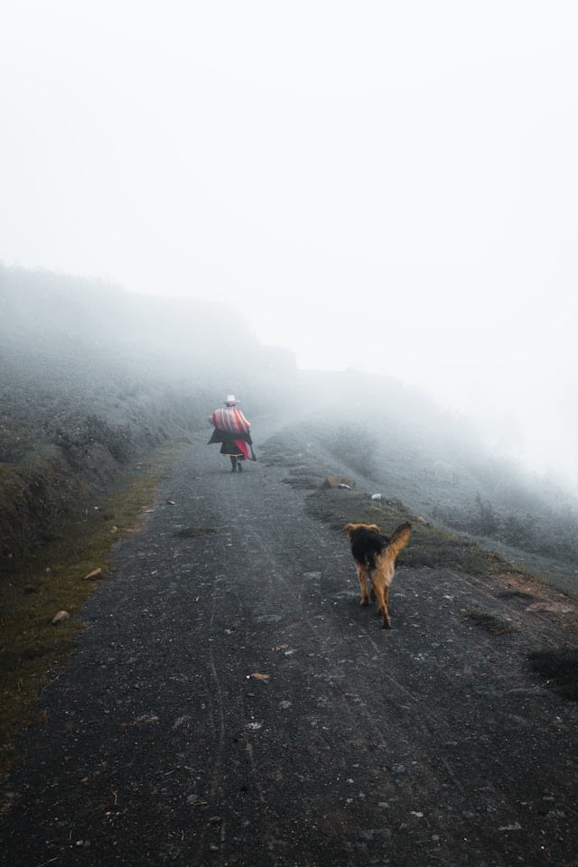 jordi tambillo YX68Ws2LH58 unsplash