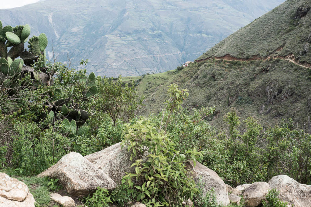 Peru Choquequirao Trek 8