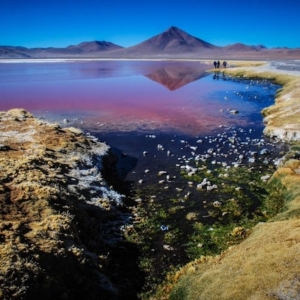 hugo kruip UzDB2nZoBWE unsplash