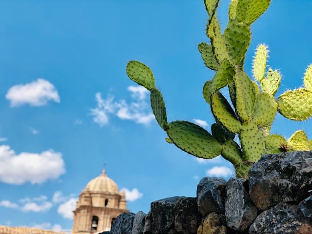 omar lopez ZXngB2 Bt0A unsplash
