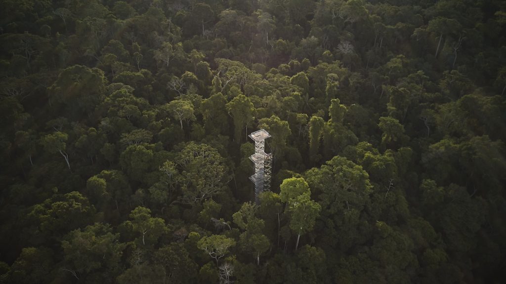Canopy Tower 2 Posada Amazonas