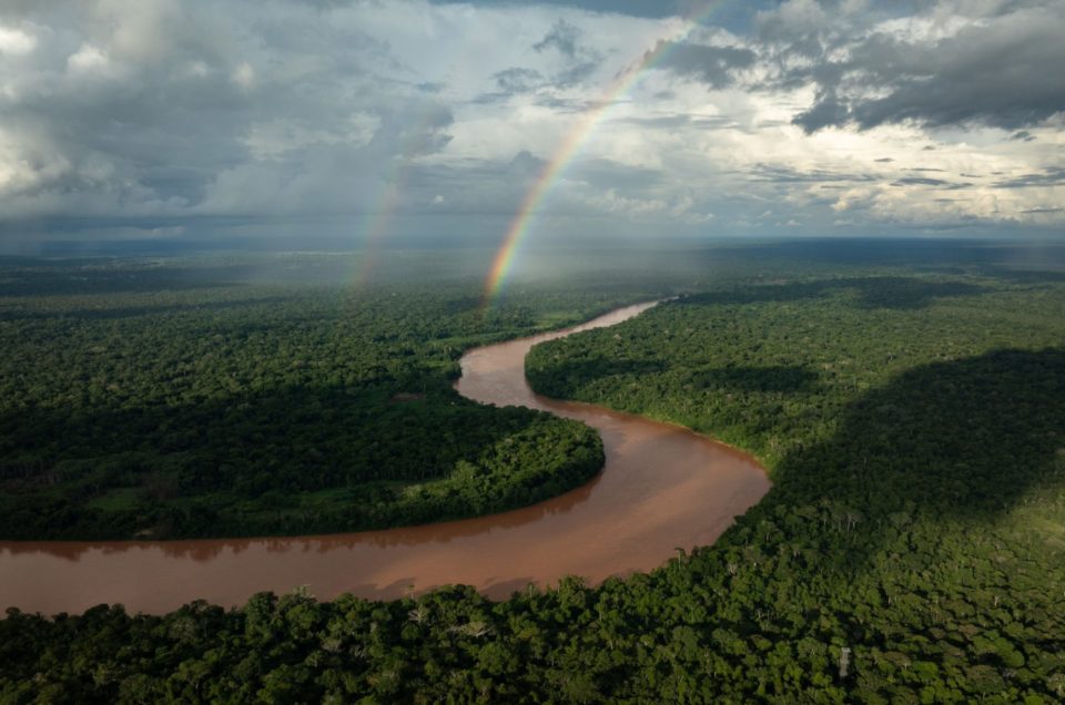 Rainforest Expeditions in Peru: Conquer the Amazon’s Call to Adventure!