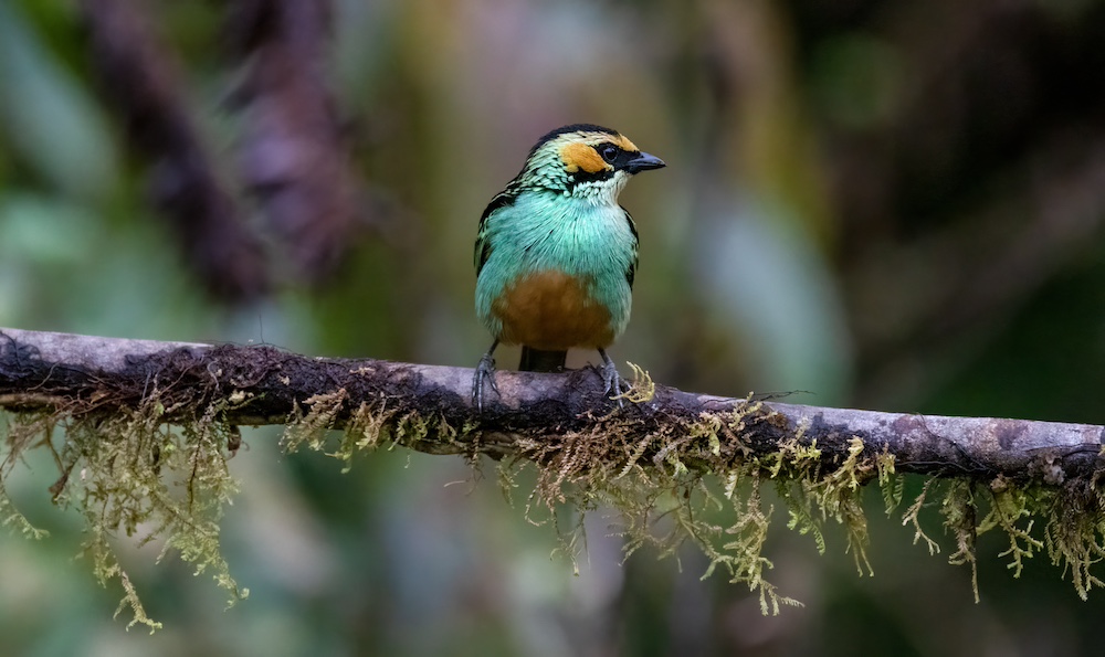 Copia de D29A9296 Edit 1