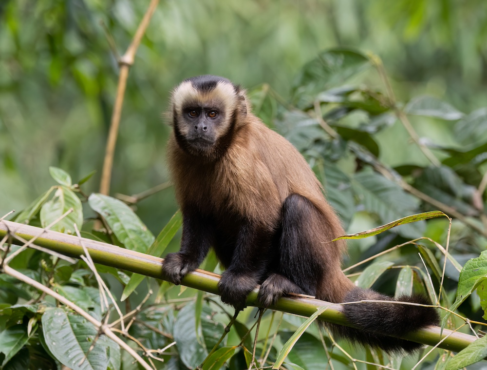 Copia de D29A9356 Edit 1