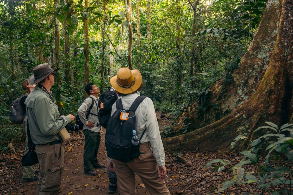 POSADA AMAZONAS GUESTS EXPERIENCE BY CARLOS GONZALES