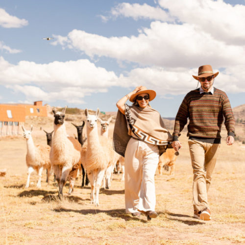 S7A5485 e1736041973522