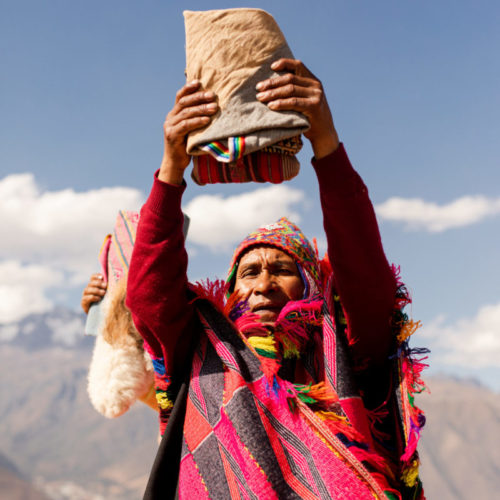 S7A5559 e1736041886127