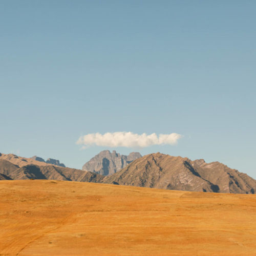 S7A6054 e1736042035981