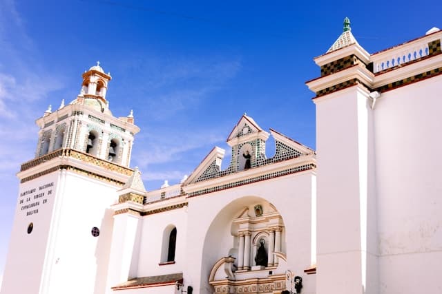 falco negenman j3kxN1K171Q unsplash