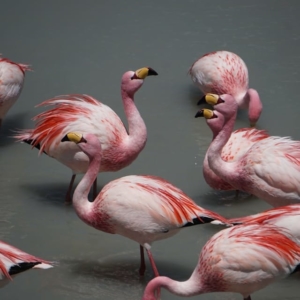 sander traa O2LP4VKd2Sw unsplash