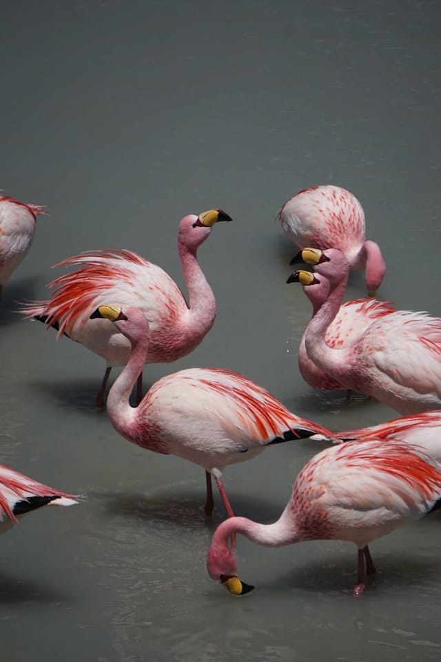 sander traa O2LP4VKd2Sw unsplash