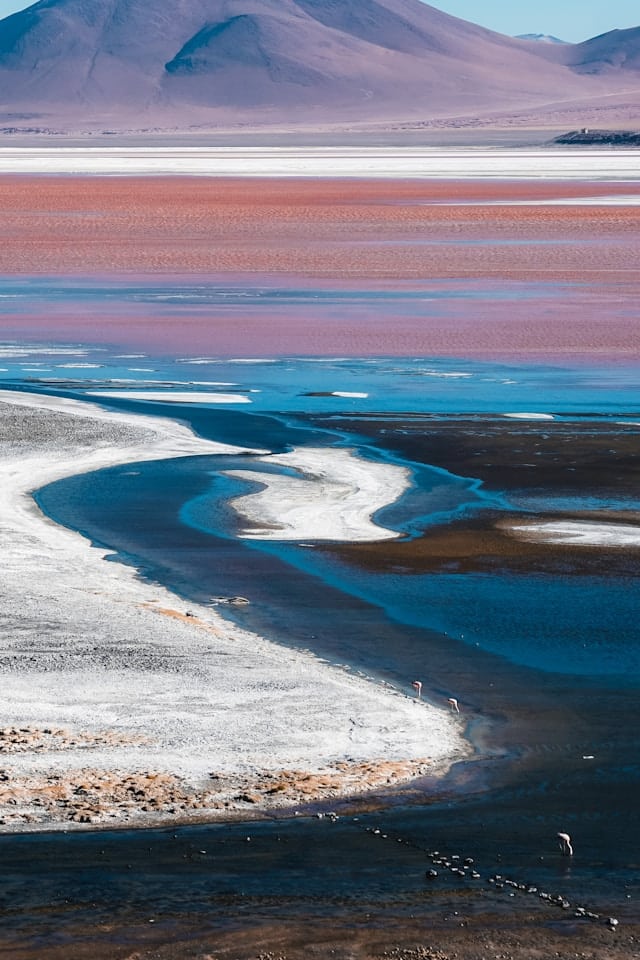 sander traa qxgdhSNBe78 unsplash